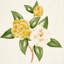 Casablanca Floral Indoor/Outdoor Fabric-820254912