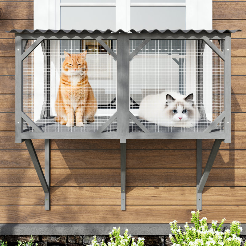 Perchoir pour chat pour grands chats d'intérieur