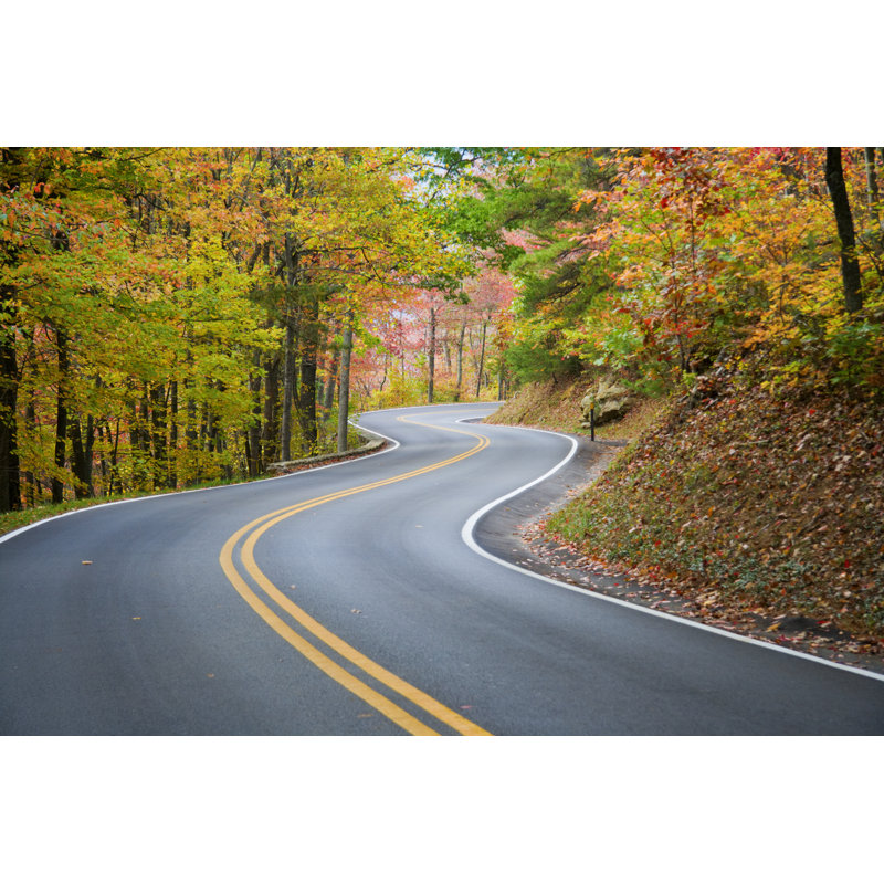Road In Autumn by Alexeys - Wrapped Canvas Print, 30cm H x 46cm W x 3.8cm D