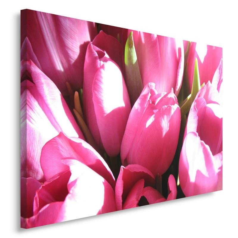 Leinwandbild Rosa Tulpen 2