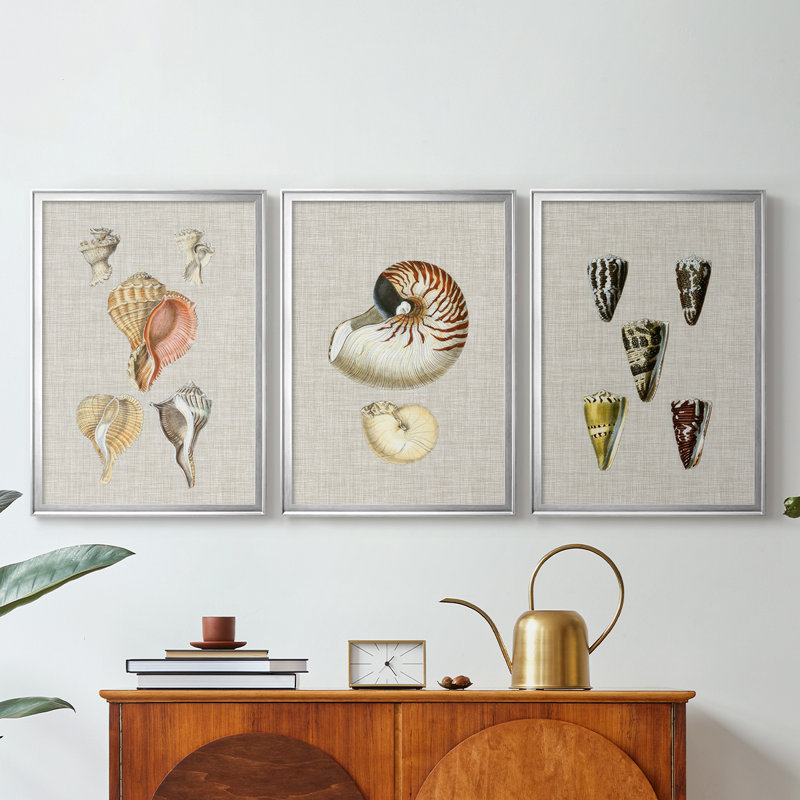 Coquilles antiques sur toile de lin VI - Toile tendue avec châssis sur mesure - 3 pièces, H 15 po x l 19 po, Argent argent