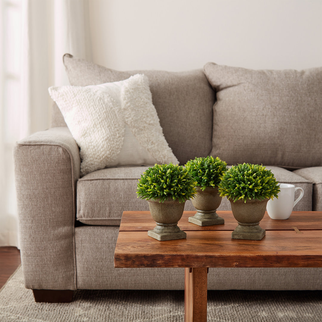 Artificial Podocarpus Grass Plant in Concrete Pot- Round 3 Piece, 7.5" Decorative Faux Indoor Ornamental Potted Topiary (Set of 3) Charlton Home®