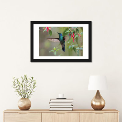 «Green Violet-Ear Hummingbird Forager Costa Rica» par Tim Fitzharris, reproduction d'art sur toile tendue