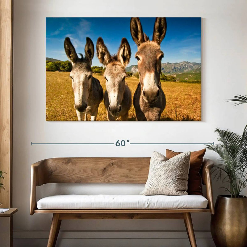 Brampt Donkey Trio, H 34 po x l 51 po