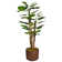 Panama 58" Artificial Scindapsus Aureus Tree in Planter