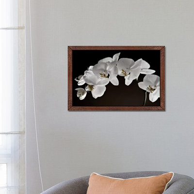 Orchids - Floater Frame Print on Canvas