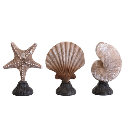 Set of 3 Coastal Starfish, Scallop Shell and Nautilus Sculptures, Brown Resin Seashell Tabletop Decor with Black Bases Class: Decorative Objects