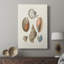 Knorr Shells & Coral I - galerie sur mesure Cavas-1422677161