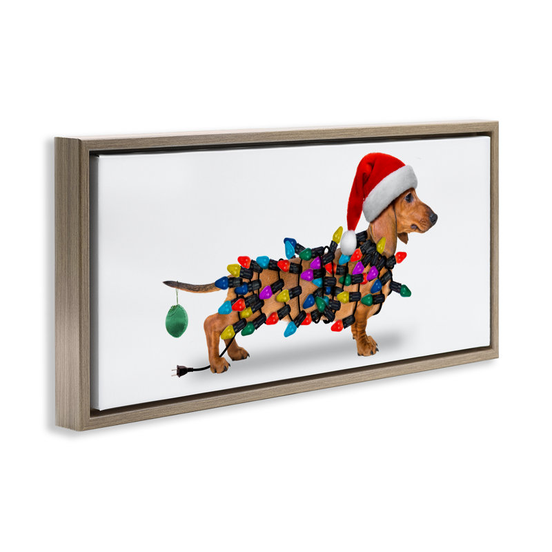 «Holiday Lights Dachshund», art mural sur toile par John Hovenstine, Cadre flottant orme Montalcino, H 11 po x l 25 po