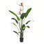 Faux Plant in Pot-1024463530