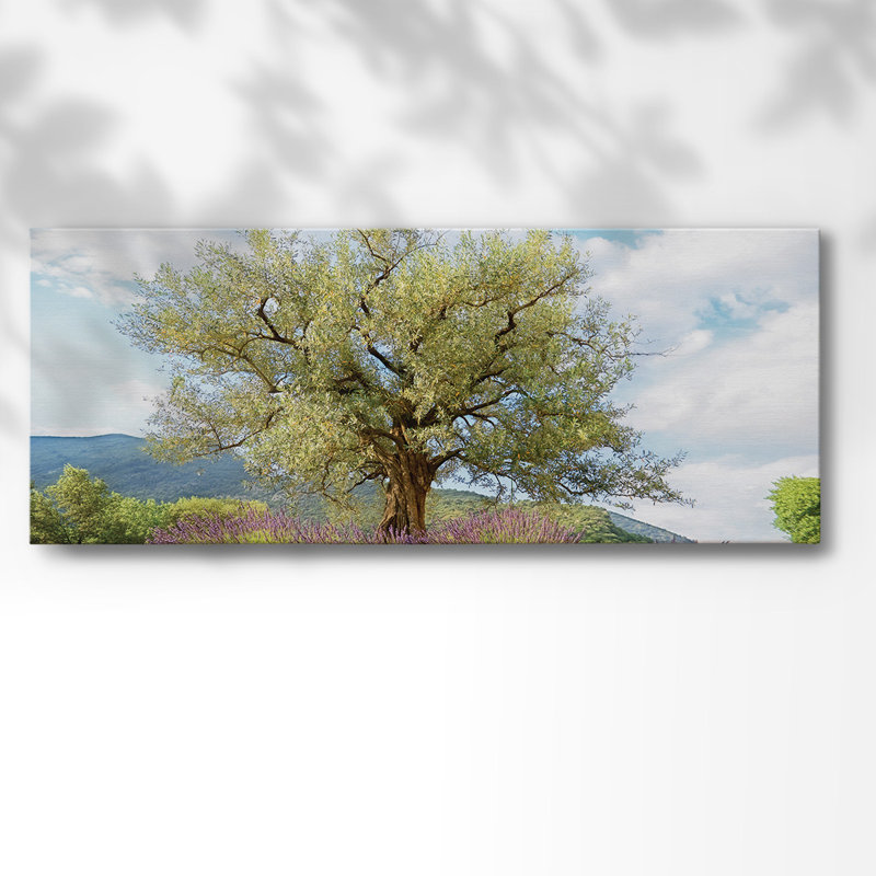 Olive sur toile, H 20 po x l 50 po x P 1,5 po