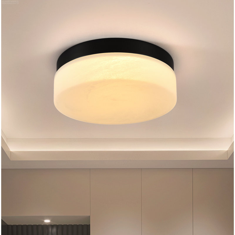 Plafonnier encastré moderne ultra-mince à profil bas de 12 po noir mat, Matte Black