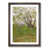 Walnut Framed selected