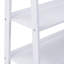 102 cm H x 80 cm W Ladder Bookcase
