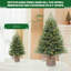 Petit arbre de Noël 3 pi avec lumières 2026, mini arbre de table avec aiguilles de pin en polyéthylène réaliste, petit arbre de Noël avec lumières multicolores en forme de pin, arbre de table pour bureau, tablette, décoration de pièce-1038905204