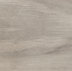 Oyster Teak