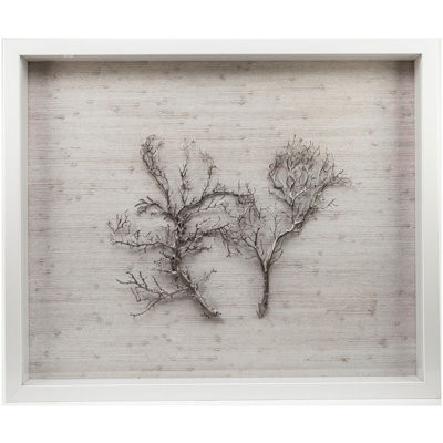 Sealife Print