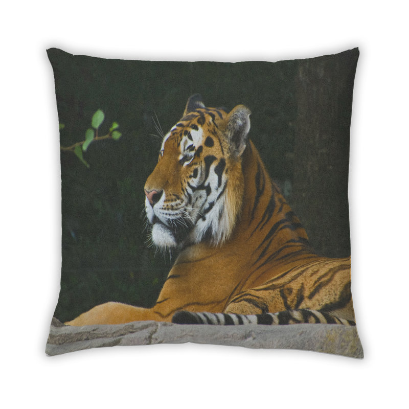 Throw Pillow, Microsuede