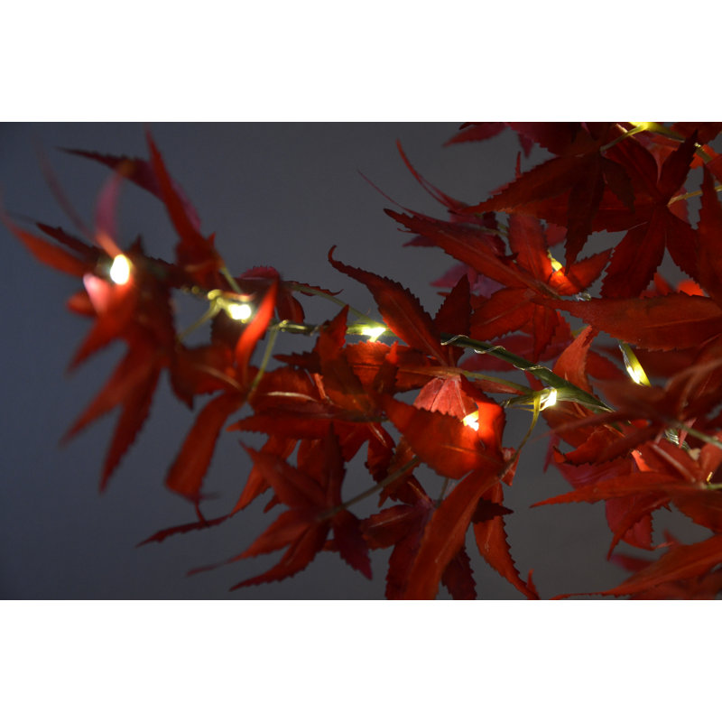 Arbre lumineux pour érable pré-éclairé japonais
