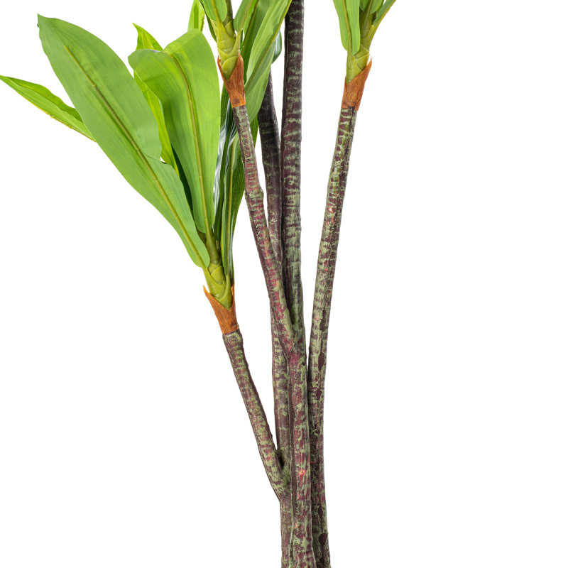Elegant Silk Touch 63" Dracaena Outdoor Potted Floor Plant