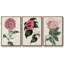 Ensemble de 3 pièces sur toile moyenne-97811980-97811982