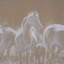 «String Of Horses» par Studio, reproduction d'art encadrée sous verre-1627704056-1627704057