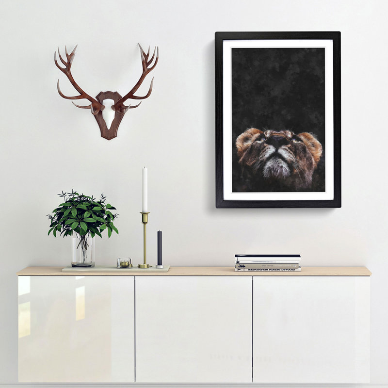 Lion Looking Upwards - Framed Print, 87cm H x 62cm W x 2cm D, Black Framed