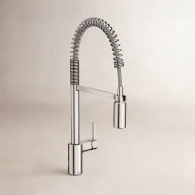 Align Spring Pull-Down Kitchen Faucet