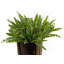 40cm Faux Plant
