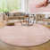 Anarely Shaggy Rug in Pink