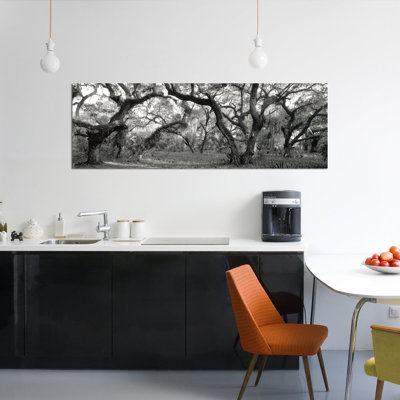 " Oak Trees In A Forest, Lake Kissimmee State Park, Florida, USA " by Panoramic Images