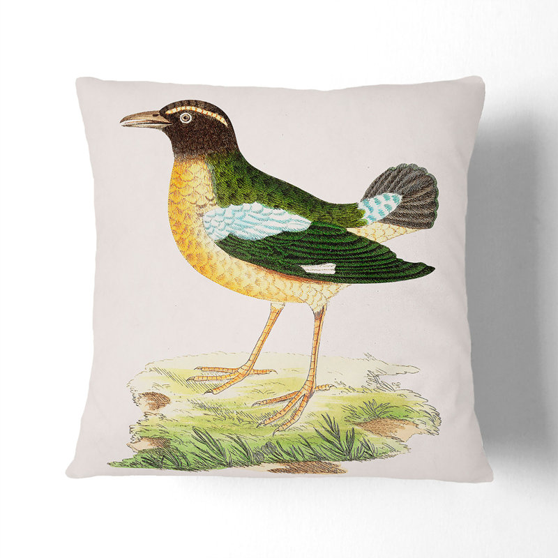 Crow by George Shaw Cushion with Filling, Stone, 55cm H x 55cm W x 20cm D