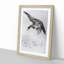 Duck by Watanabe Seitei - Picture Frame Painting Print-55734252-55734253