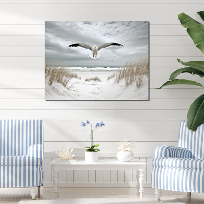 " Beach Yellow Seagulls In "