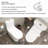TCYO GPF Elongated One-Piece Toilet (Seat Included)