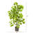 36'' Faux Ficus Tree in Planter
