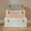3 Piece Accent Trunk Set