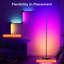 66.5cm Polished LED Novelty Floor Lamp