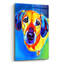 «Dachshund - Maisie» par Dawg Painter-1707088881
