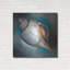 «Sea Shell Glow» par Louise Montillio