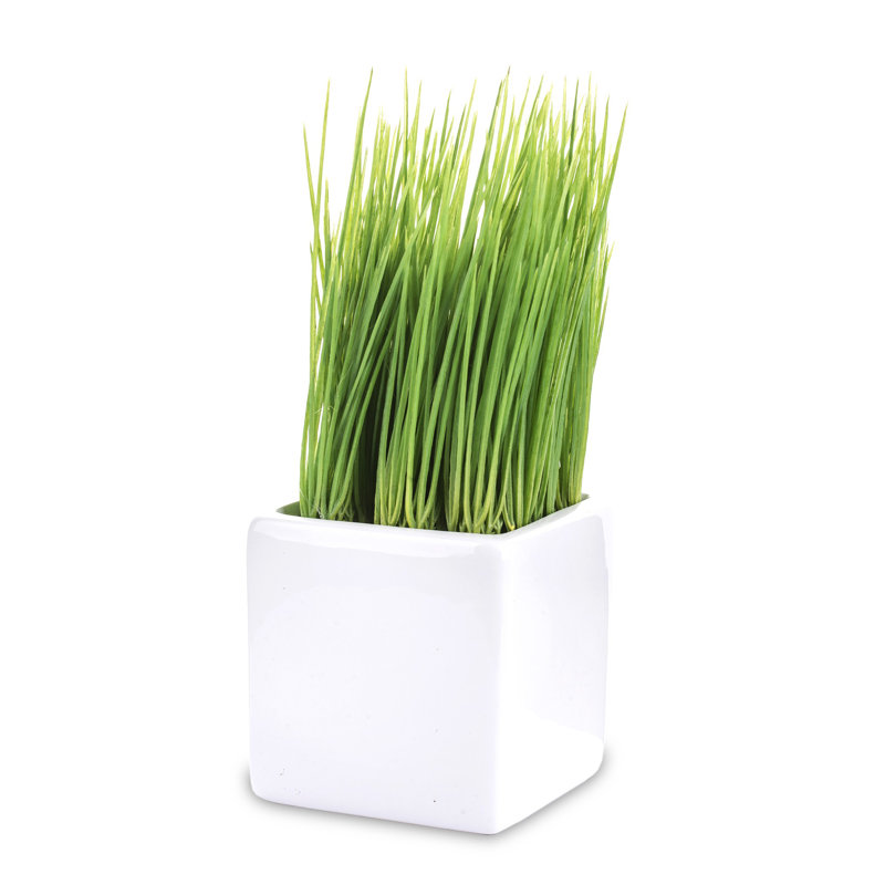 24cm Faux Evergreen Grass in Pot