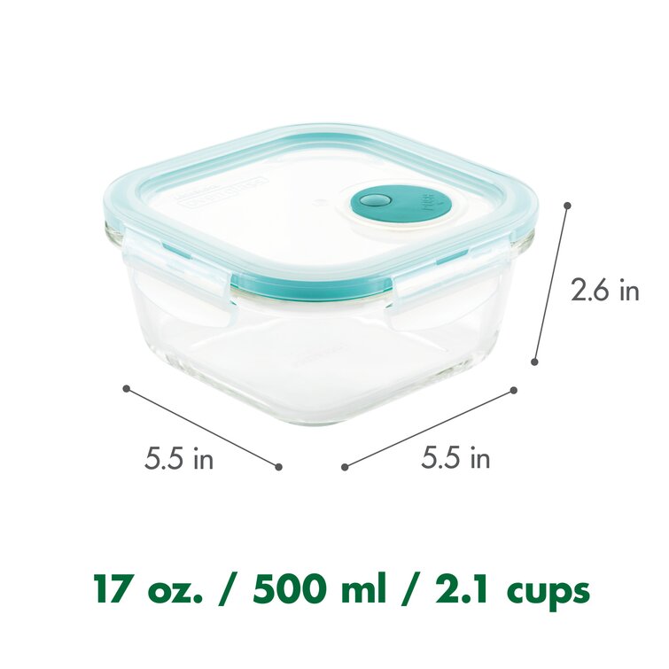 https://assets.wfcdn.com/im/25151027/resize-h755-w755%5Ecompr-r85/9747/97476018/17+Glass+Food+Storage+Container.jpg