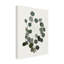 "Eucalyptus Leaves I" sur toile-98391671