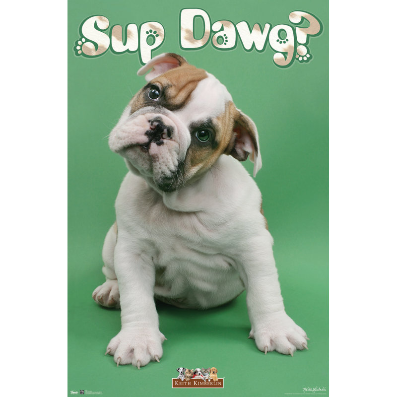 Impression sur papier chiot-sup dawg