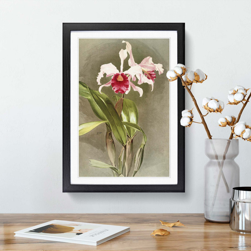 Magnolia Flowers Illustration Tab. 48 by Frederick Sander - Picture Frame Painting Print, 91cm H x 60cm W x 2cm D, Black