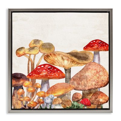 Champignons rustiques des bois