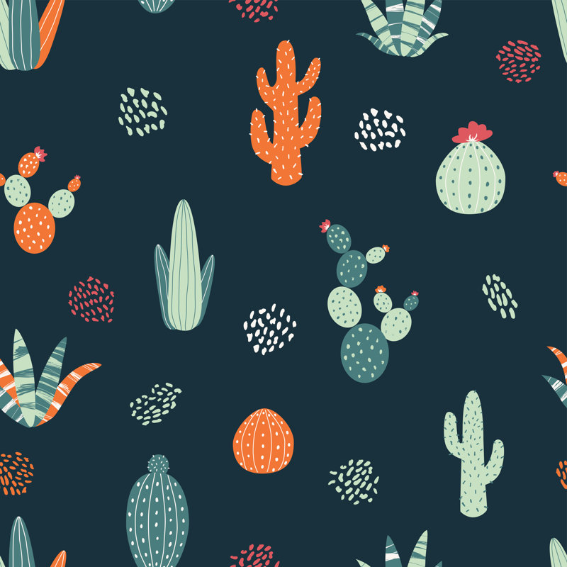 Cactus On Black Background - Wrapped Canvas Print, 122cm H x 122cm W x 3.8cm D
