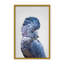 Nature Inspired Black Cockatoo by  - Picture Frame Photograph on Paper-81386675-131284470-131284548