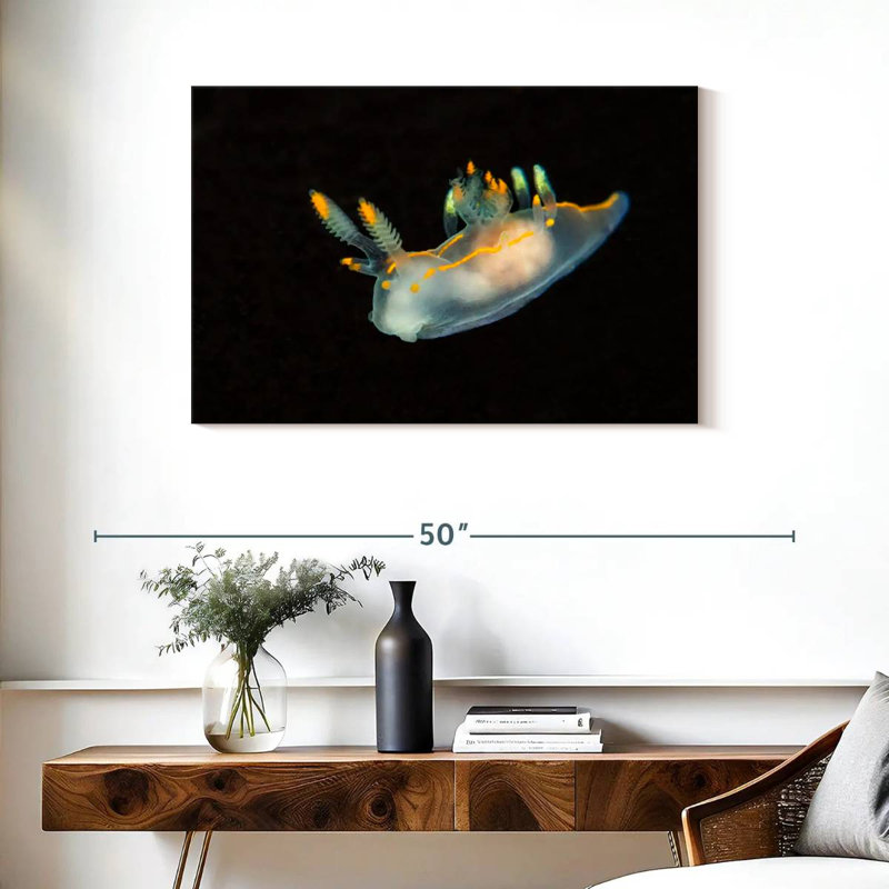 Limace de mer dans les eaux sombres