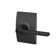 Latitude Privacy Door Lever